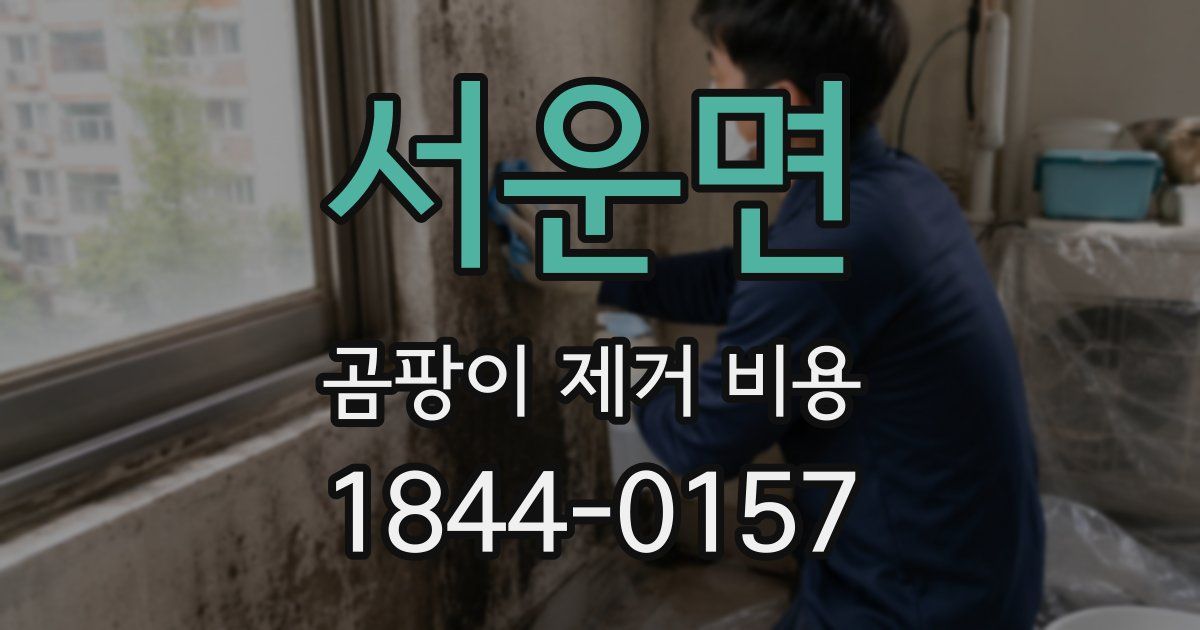 서운면 곰팡이 제거 비용