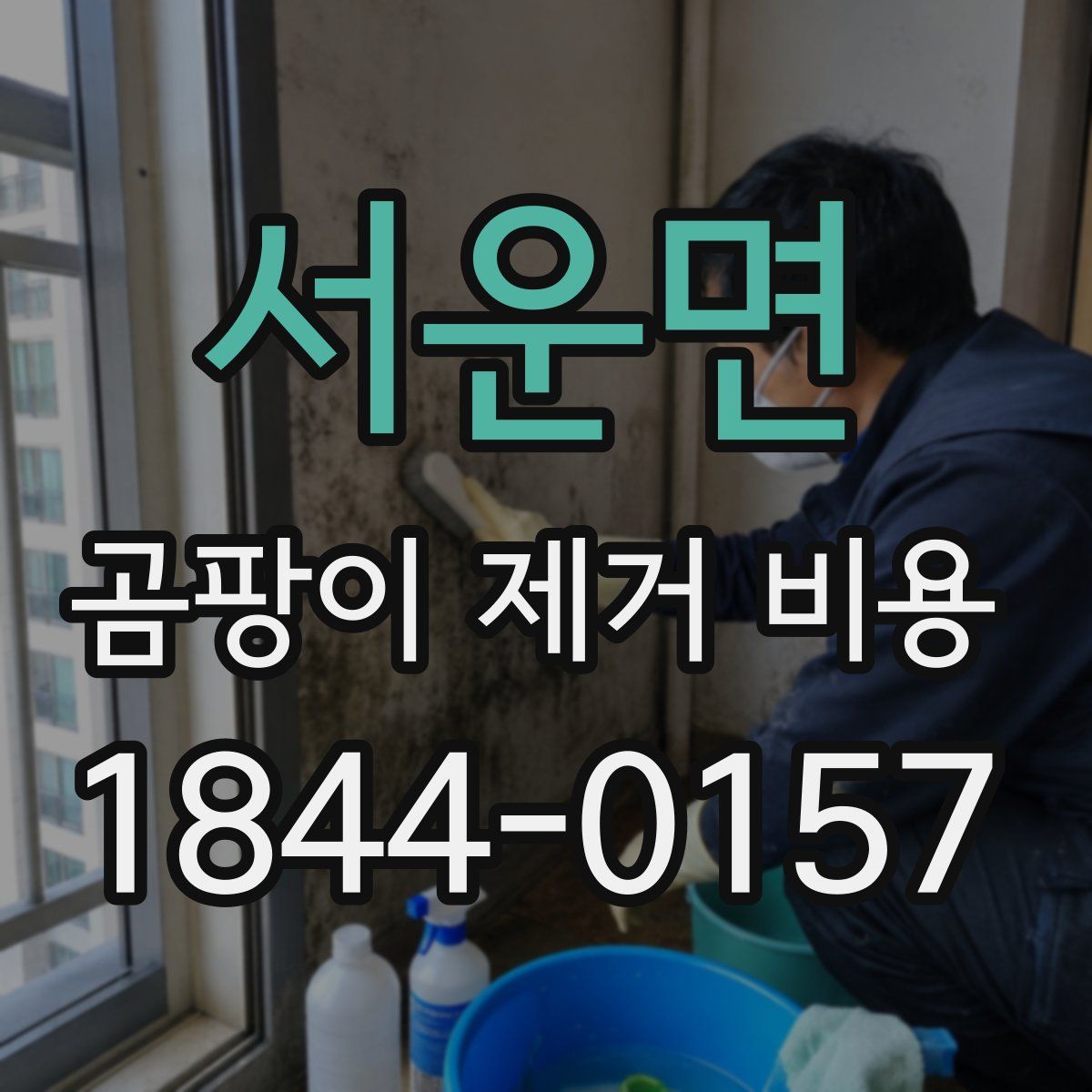 서운면 곰팡이 제거 비용