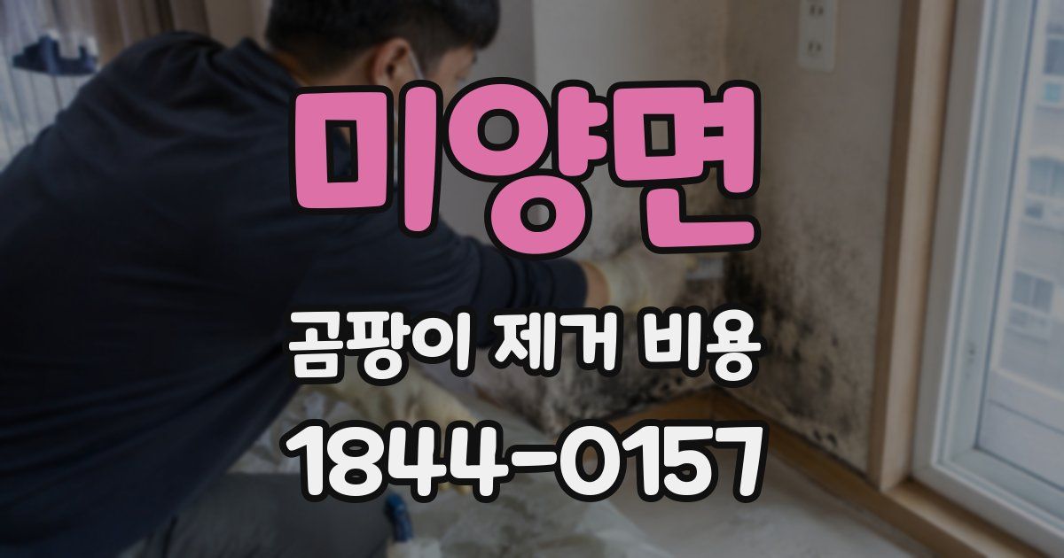 미양면 곰팡이 제거 비용