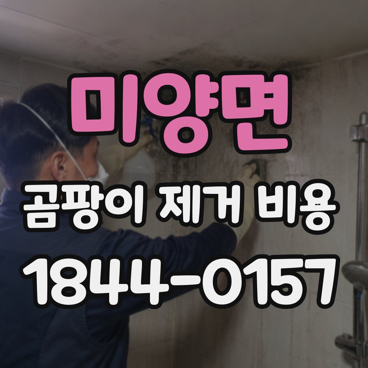 미양면 곰팡이 제거 비용
