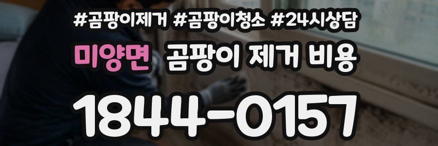미양면 곰팡이 제거 비용