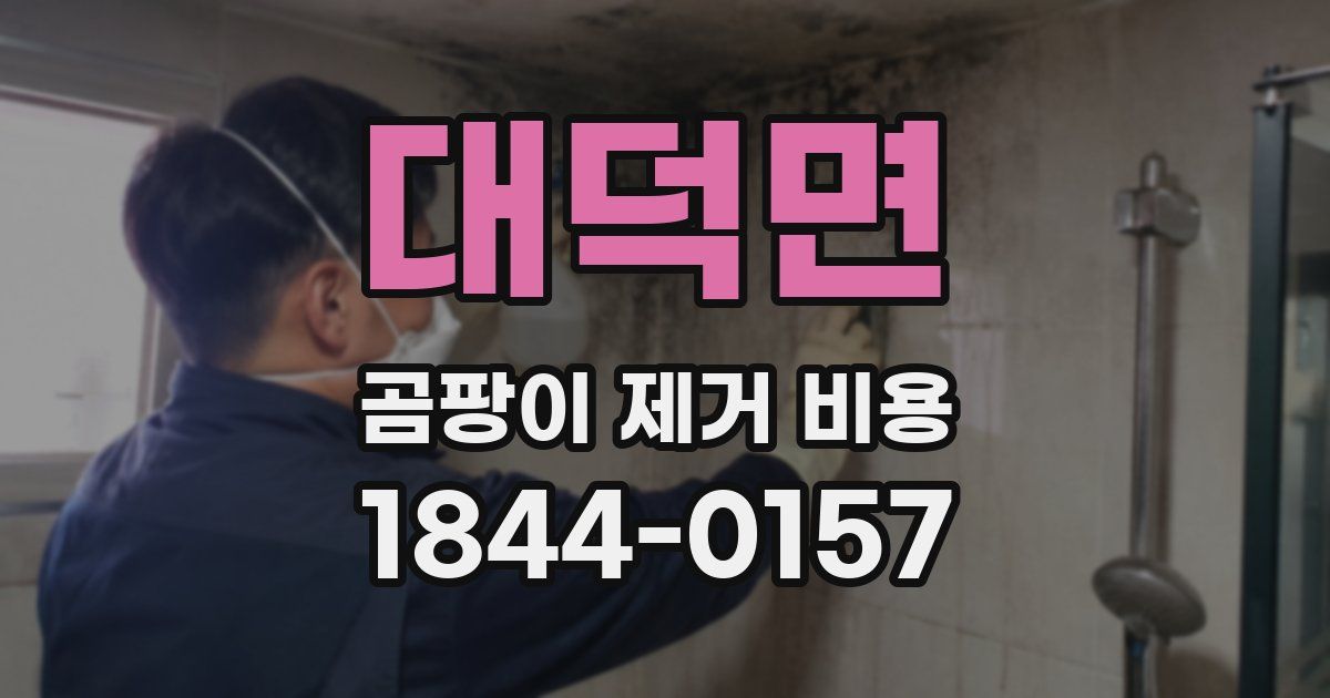 대덕면 곰팡이 제거 비용