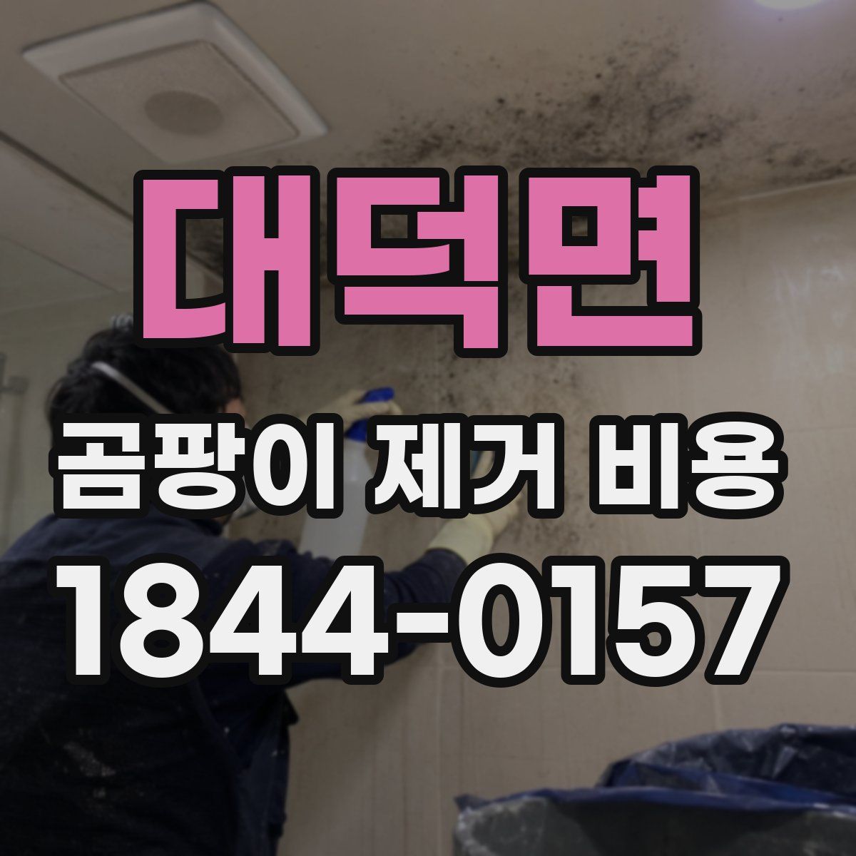 대덕면 곰팡이 제거 비용