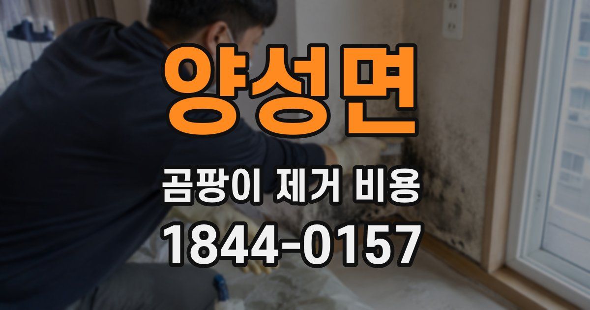 양성면 곰팡이 제거 비용