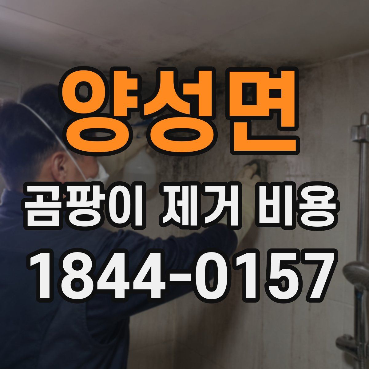 양성면 곰팡이 제거 비용