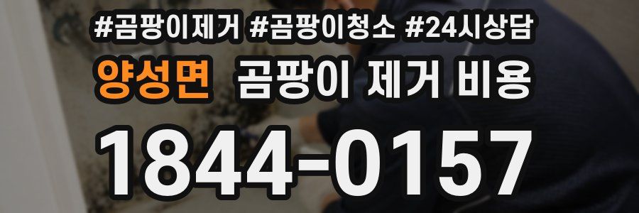 양성면 곰팡이 제거 비용