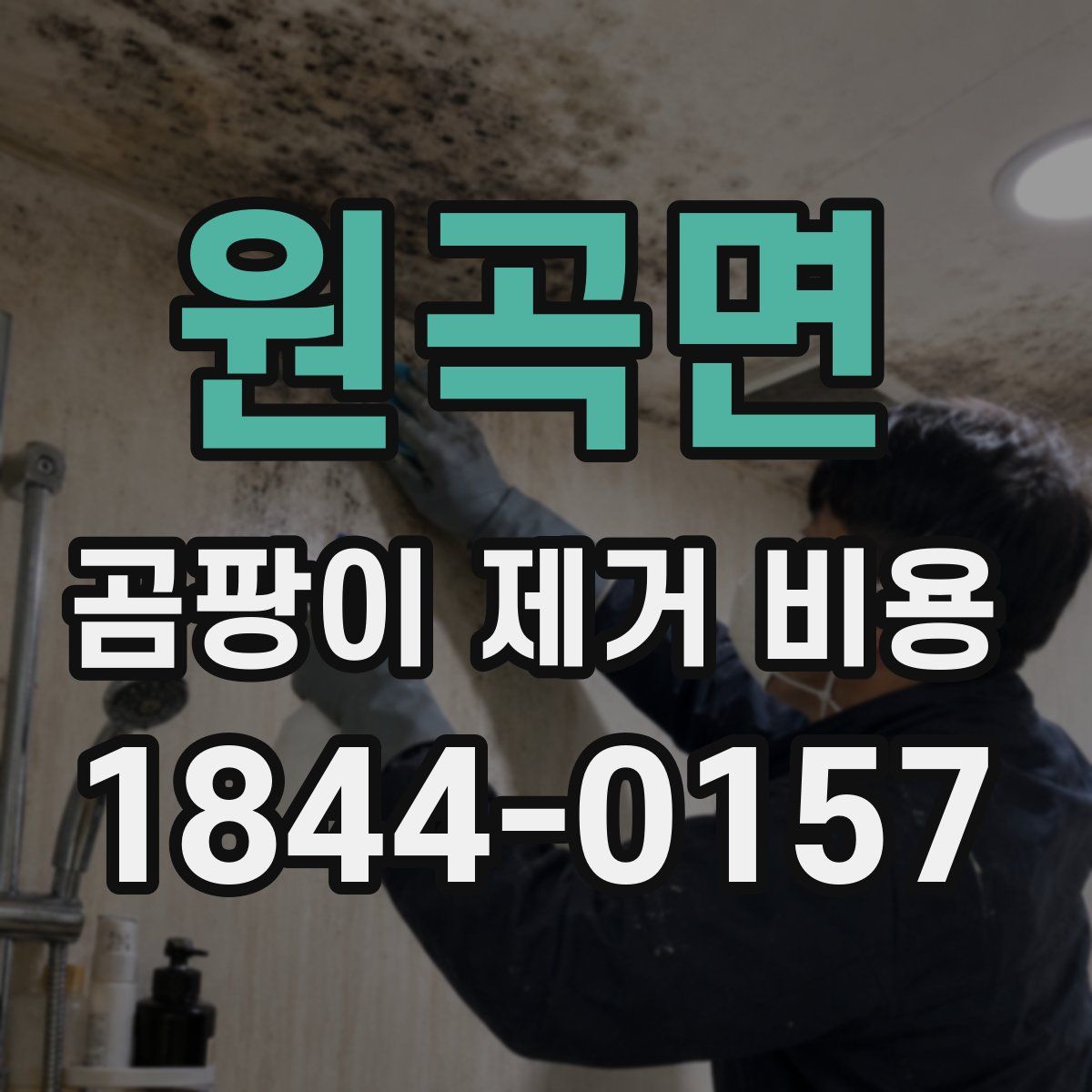 원곡면 곰팡이 제거 비용