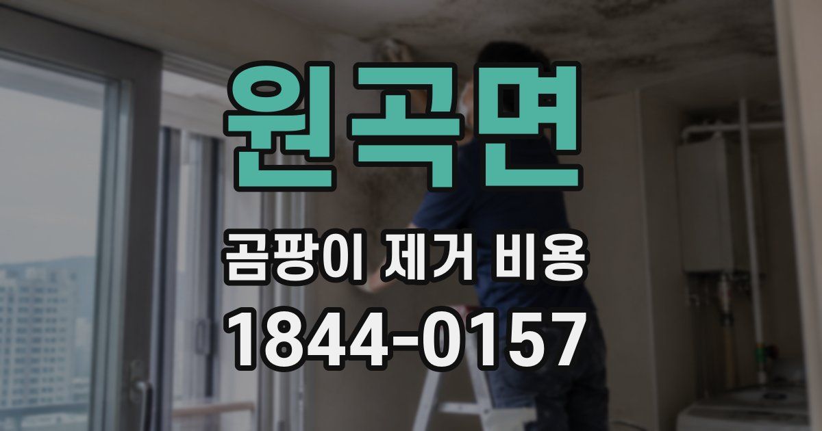 원곡면 곰팡이 제거 비용