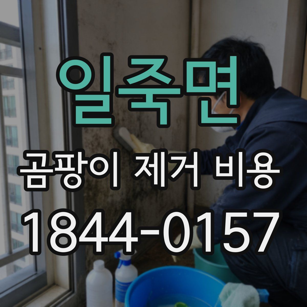 일죽면 곰팡이 제거 비용