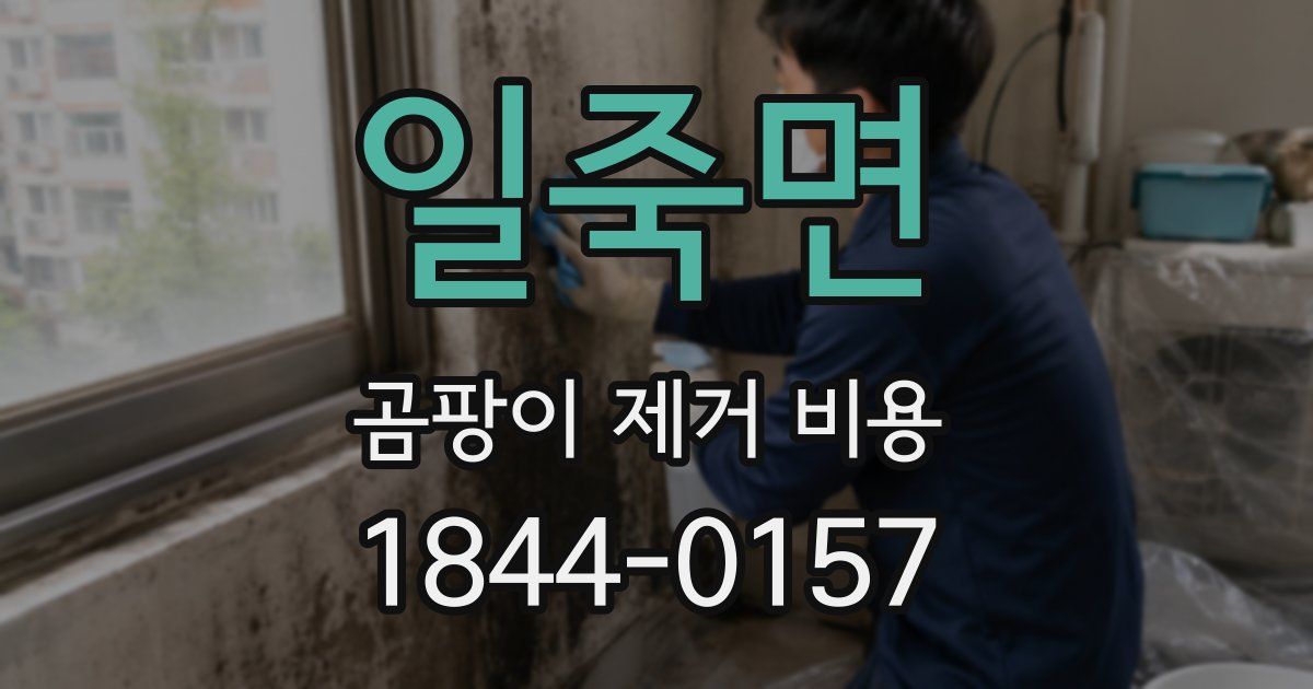 일죽면 곰팡이 제거 비용