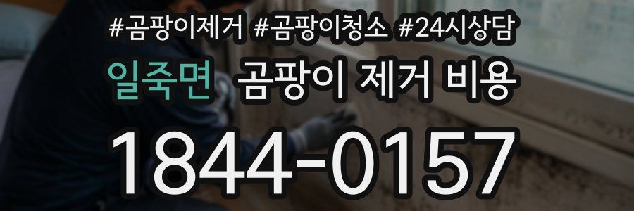 일죽면 곰팡이 제거 비용