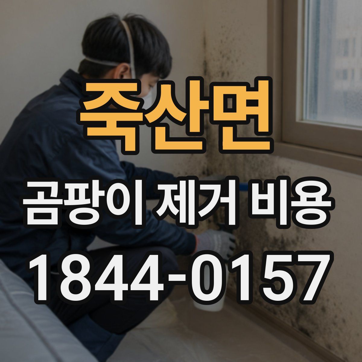 죽산면 곰팡이 제거 비용