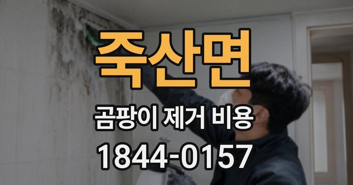 죽산면 곰팡이 제거 비용