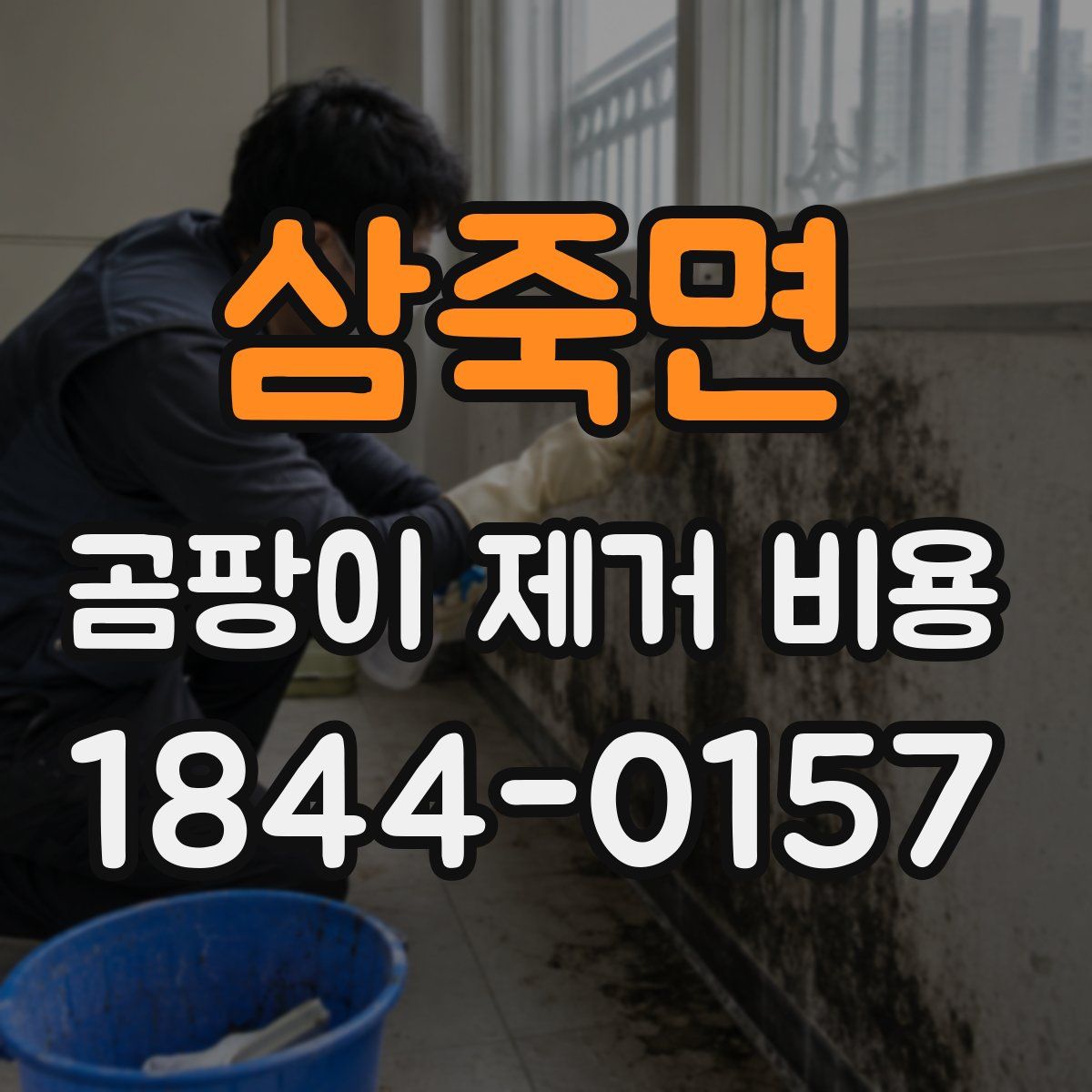 삼죽면 곰팡이 제거 비용