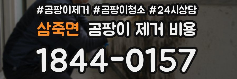 삼죽면 곰팡이 제거 비용