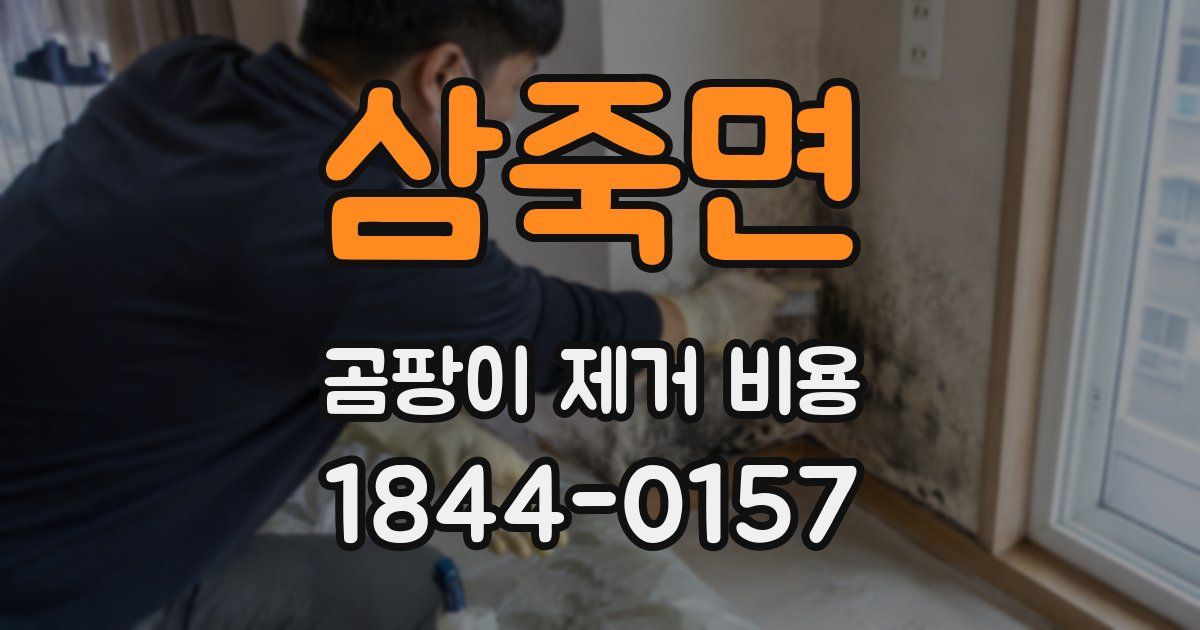 삼죽면 곰팡이 제거 비용