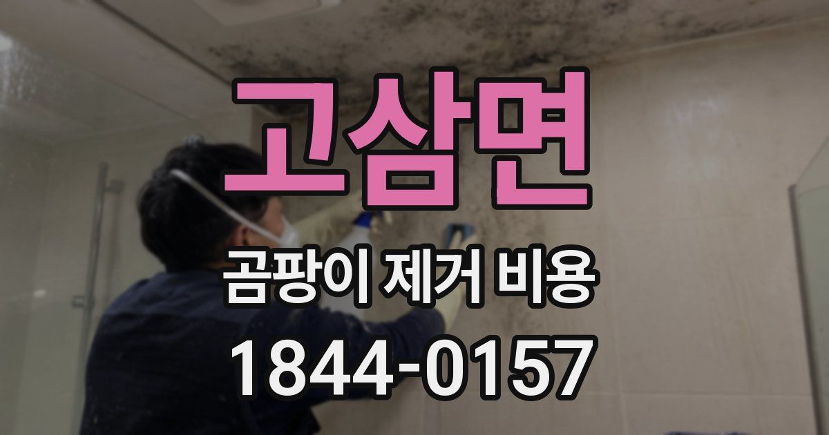 고삼면 곰팡이 제거 비용