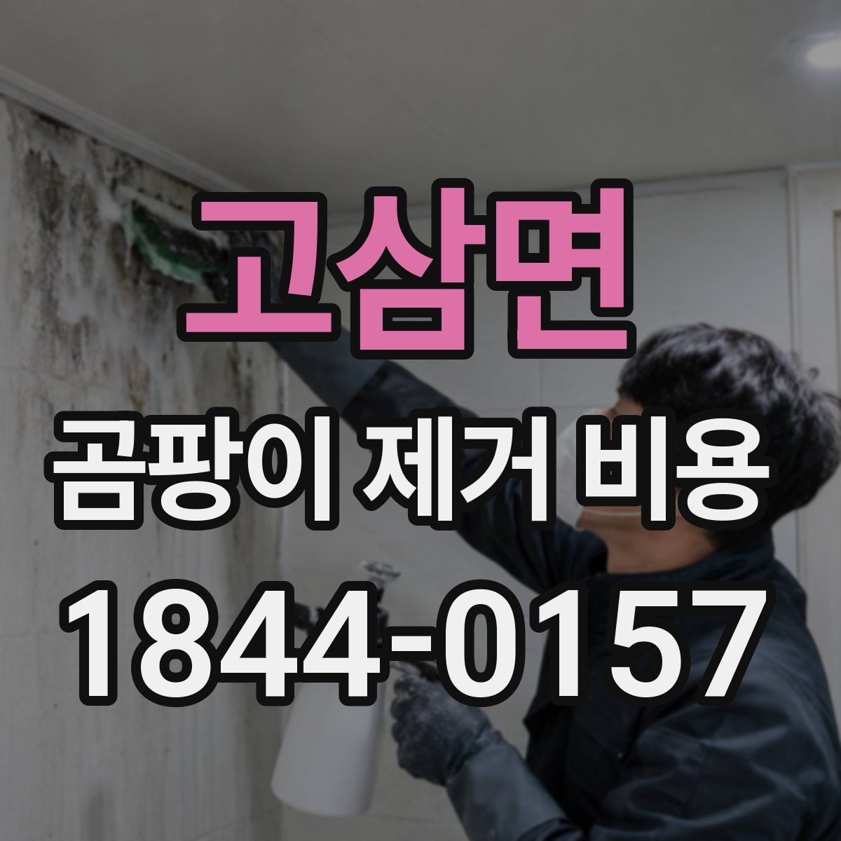 고삼면 곰팡이 제거 비용