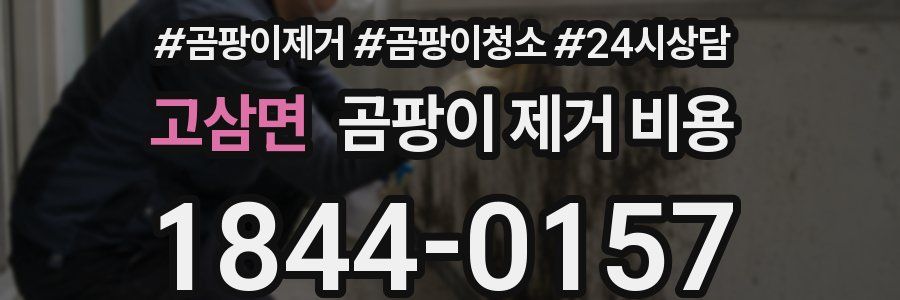 고삼면 곰팡이 제거 비용