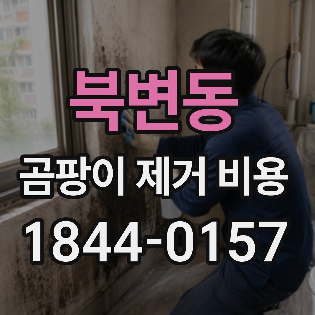 북변동 곰팡이 제거 비용