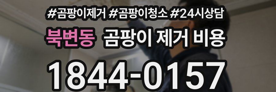 북변동 곰팡이 제거 비용