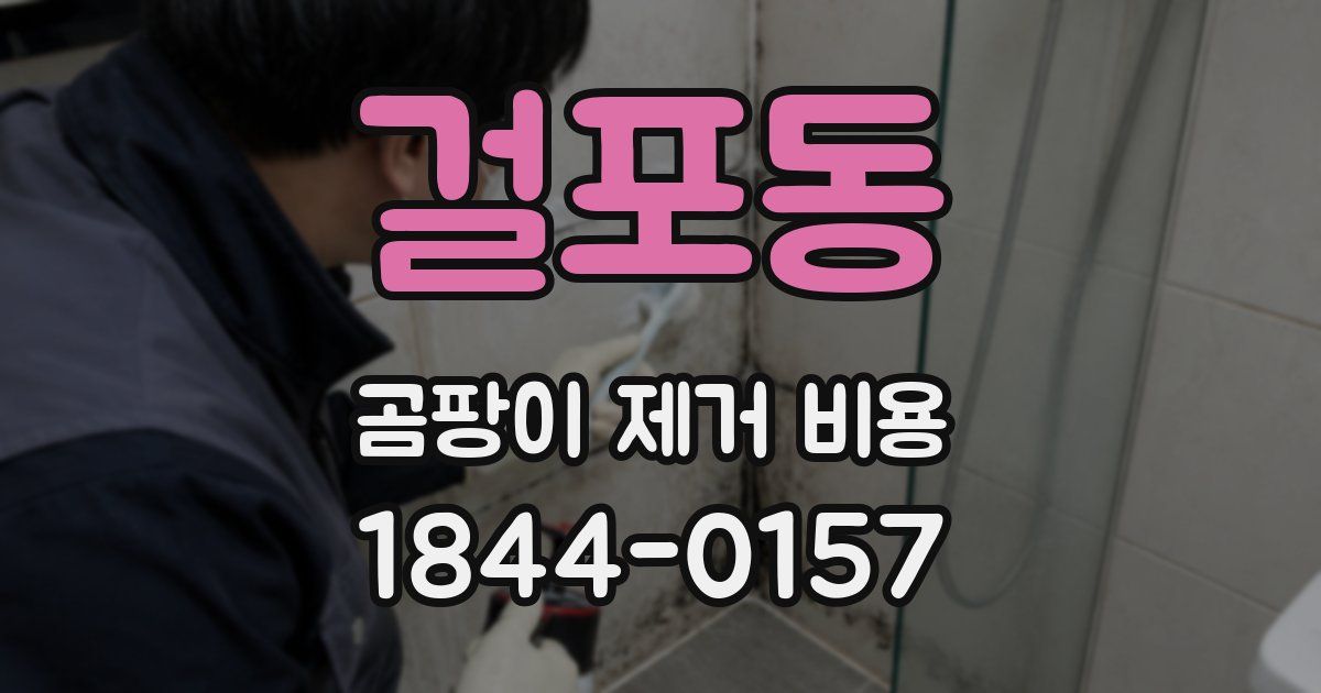 걸포동 곰팡이 제거 비용