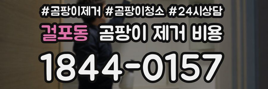 걸포동 곰팡이 제거 비용