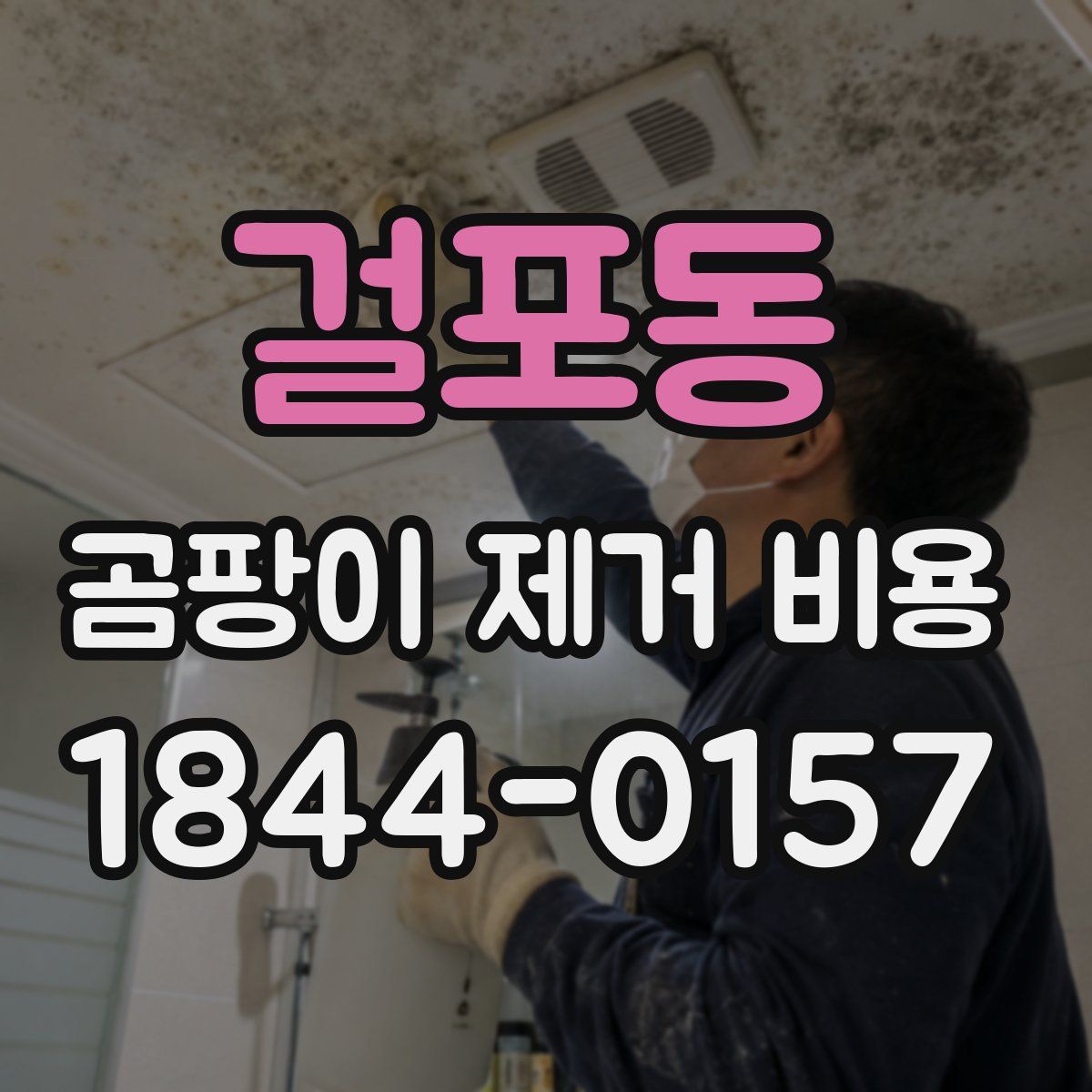 걸포동 곰팡이 제거 비용