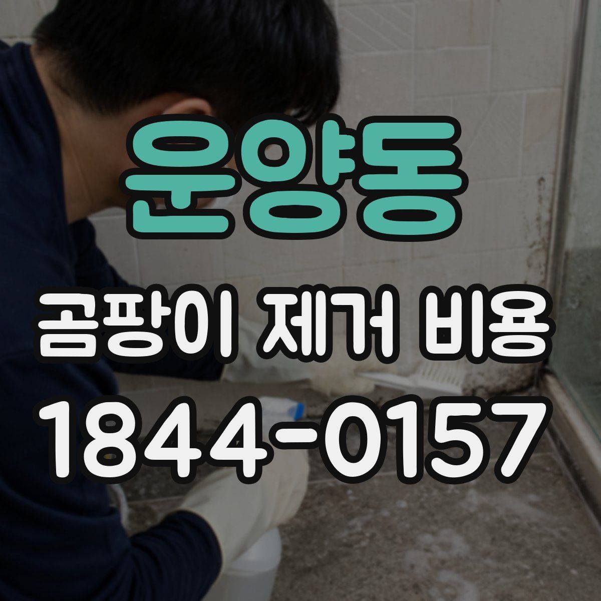 운양동 곰팡이 제거 비용