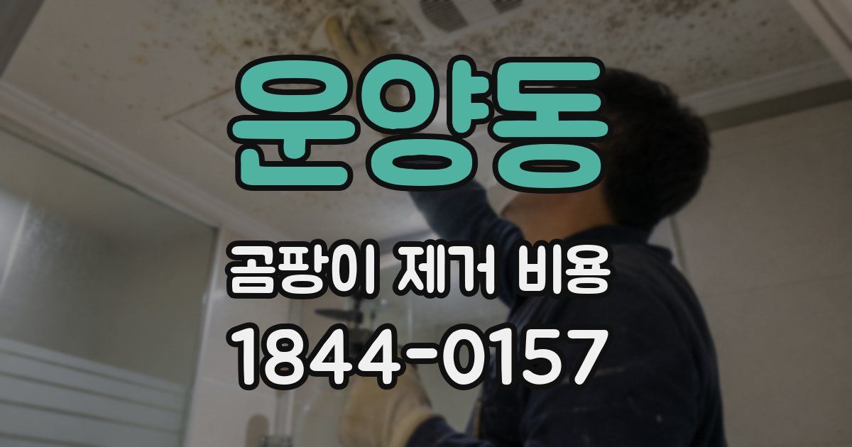 운양동 곰팡이 제거 비용