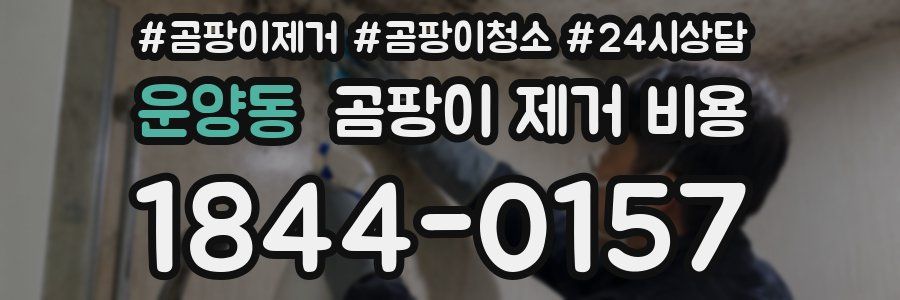 운양동 곰팡이 제거 비용