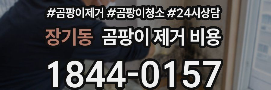 장기동 곰팡이 제거 비용