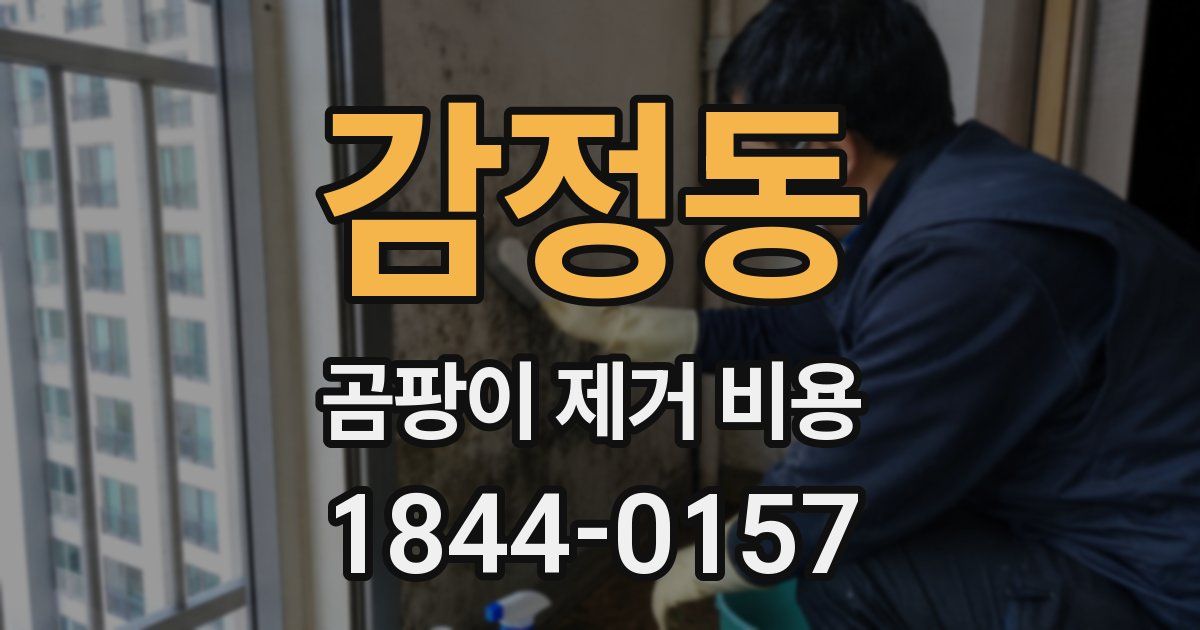 감정동 곰팡이 제거 비용