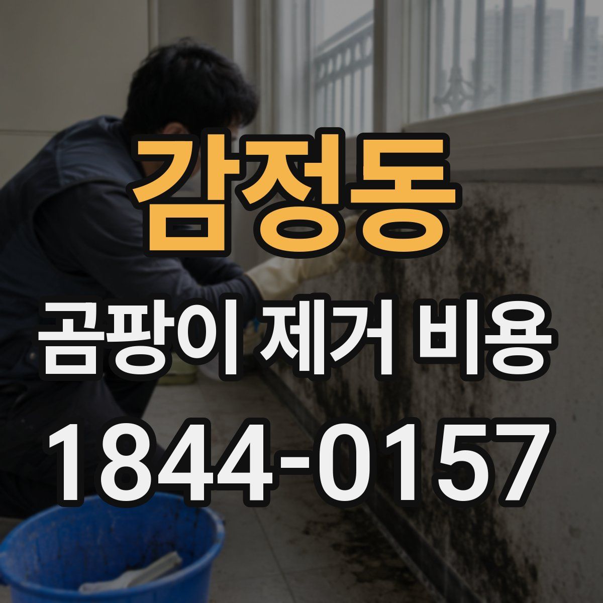 감정동 곰팡이 제거 비용