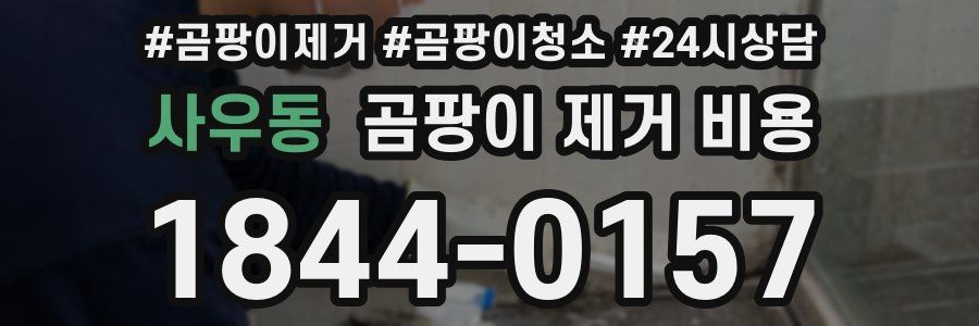 사우동 곰팡이 제거 비용