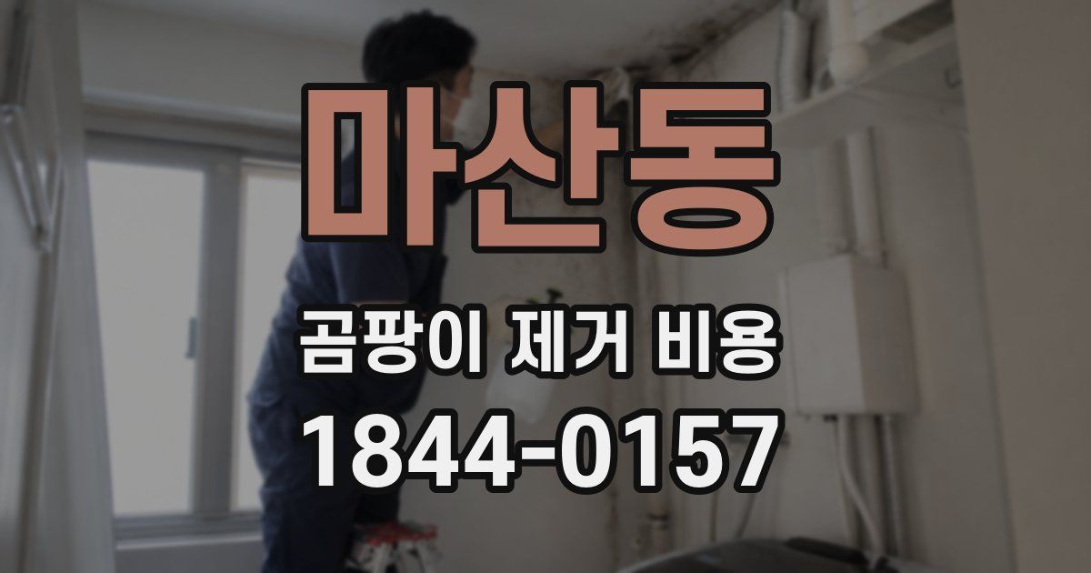 마산동 곰팡이 제거 비용