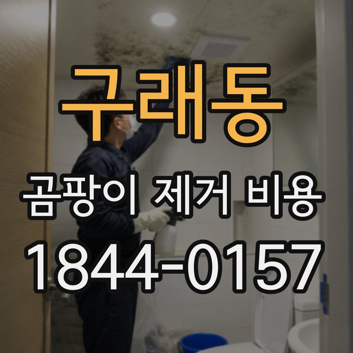 구래동 곰팡이 제거 비용