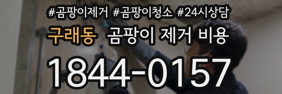 구래동 곰팡이 제거 비용