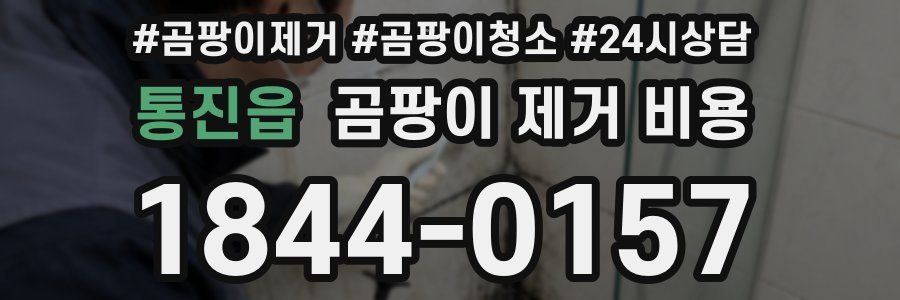 통진읍 곰팡이 제거 비용