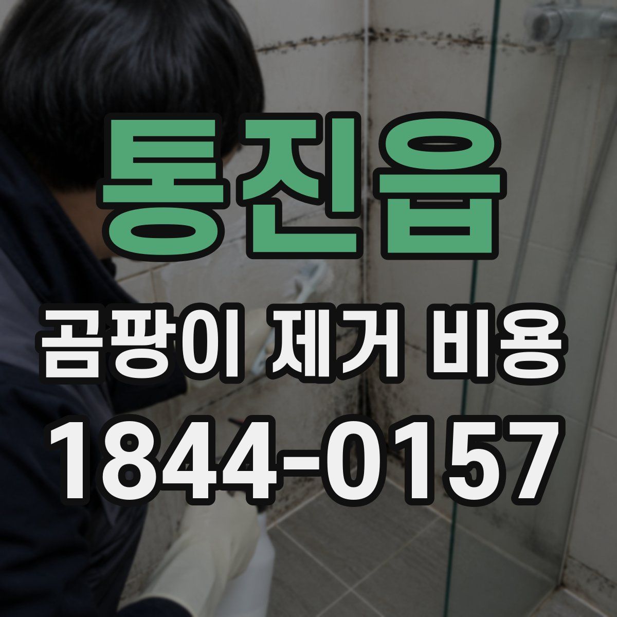 통진읍 곰팡이 제거 비용