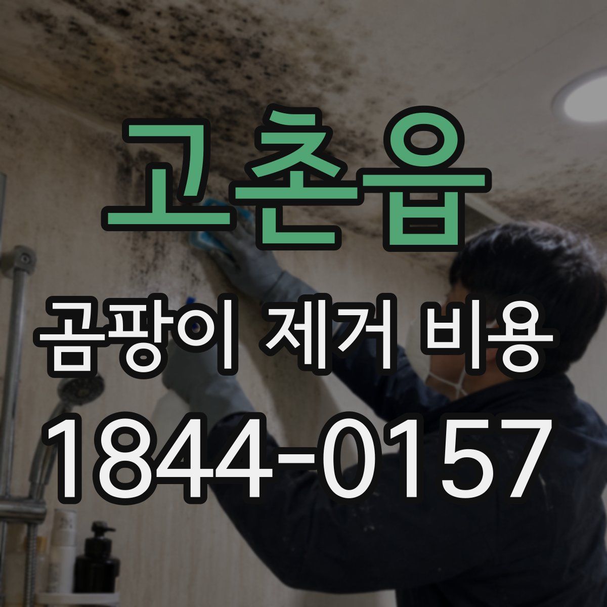 고촌읍 곰팡이 제거 비용