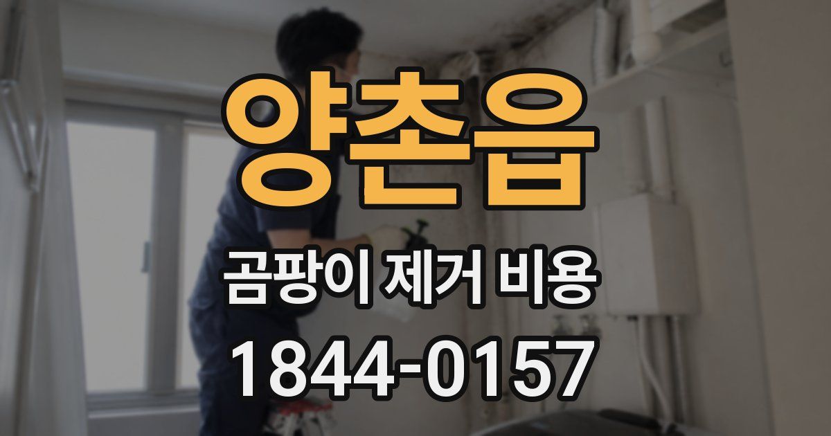 양촌읍 곰팡이 제거 비용