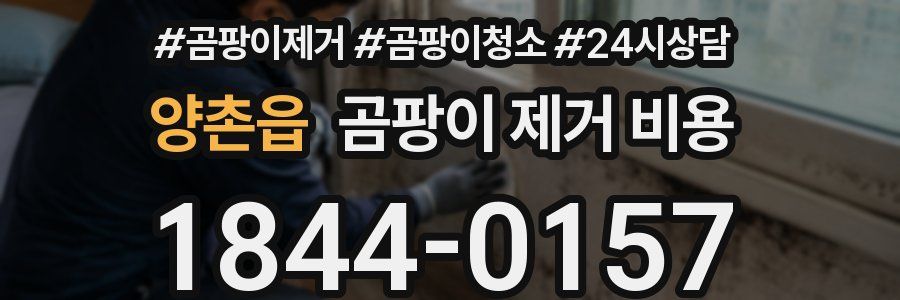 양촌읍 곰팡이 제거 비용