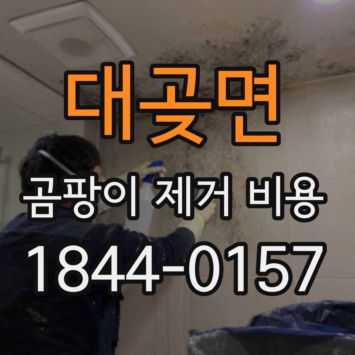 대곶면 곰팡이 제거 비용 종류별 난이도와 작업 차이
