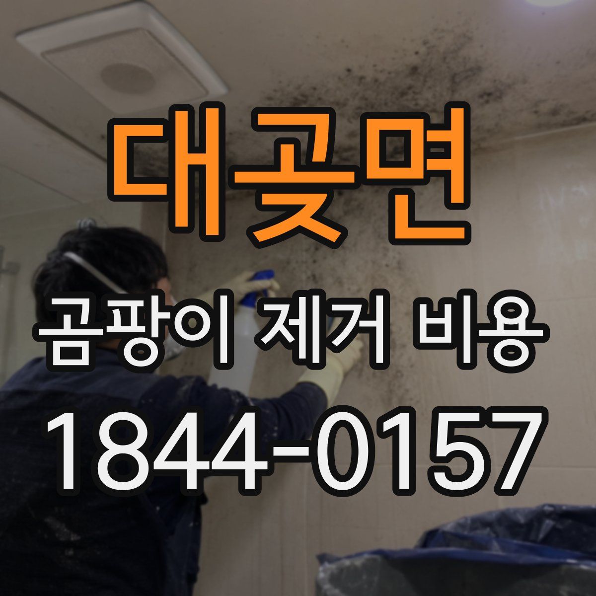 대곶면 곰팡이 제거 비용