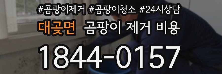 대곶면 곰팡이 제거 비용