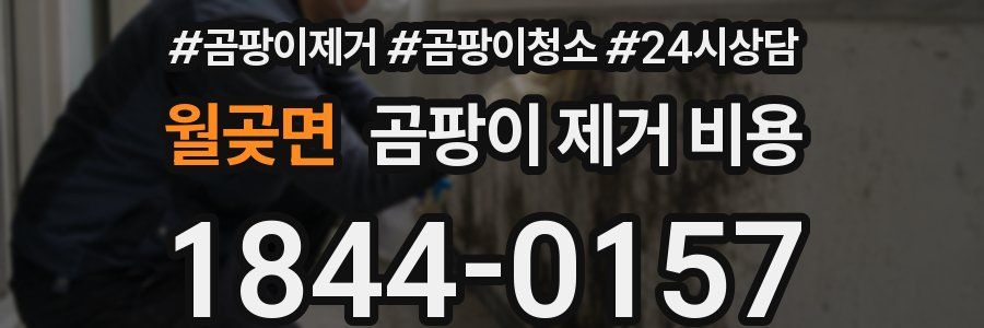 월곶면 곰팡이 제거 비용