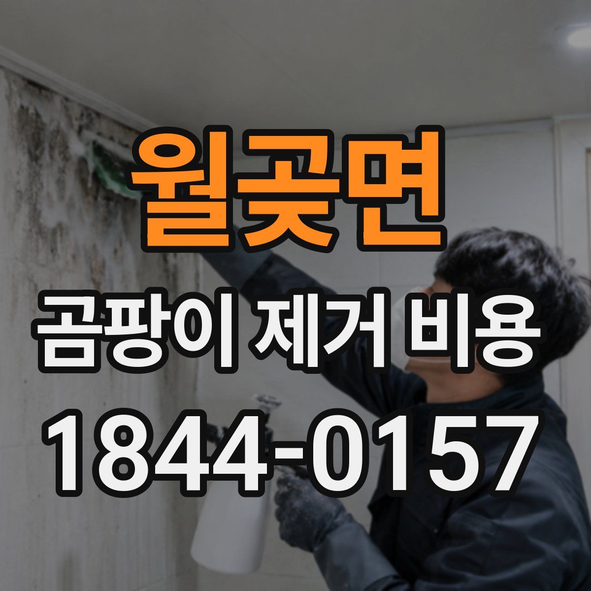 월곶면 곰팡이 제거 비용