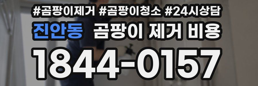 진안동 곰팡이 제거 비용