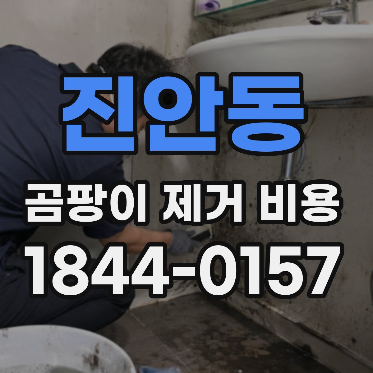 진안동 곰팡이 제거 비용